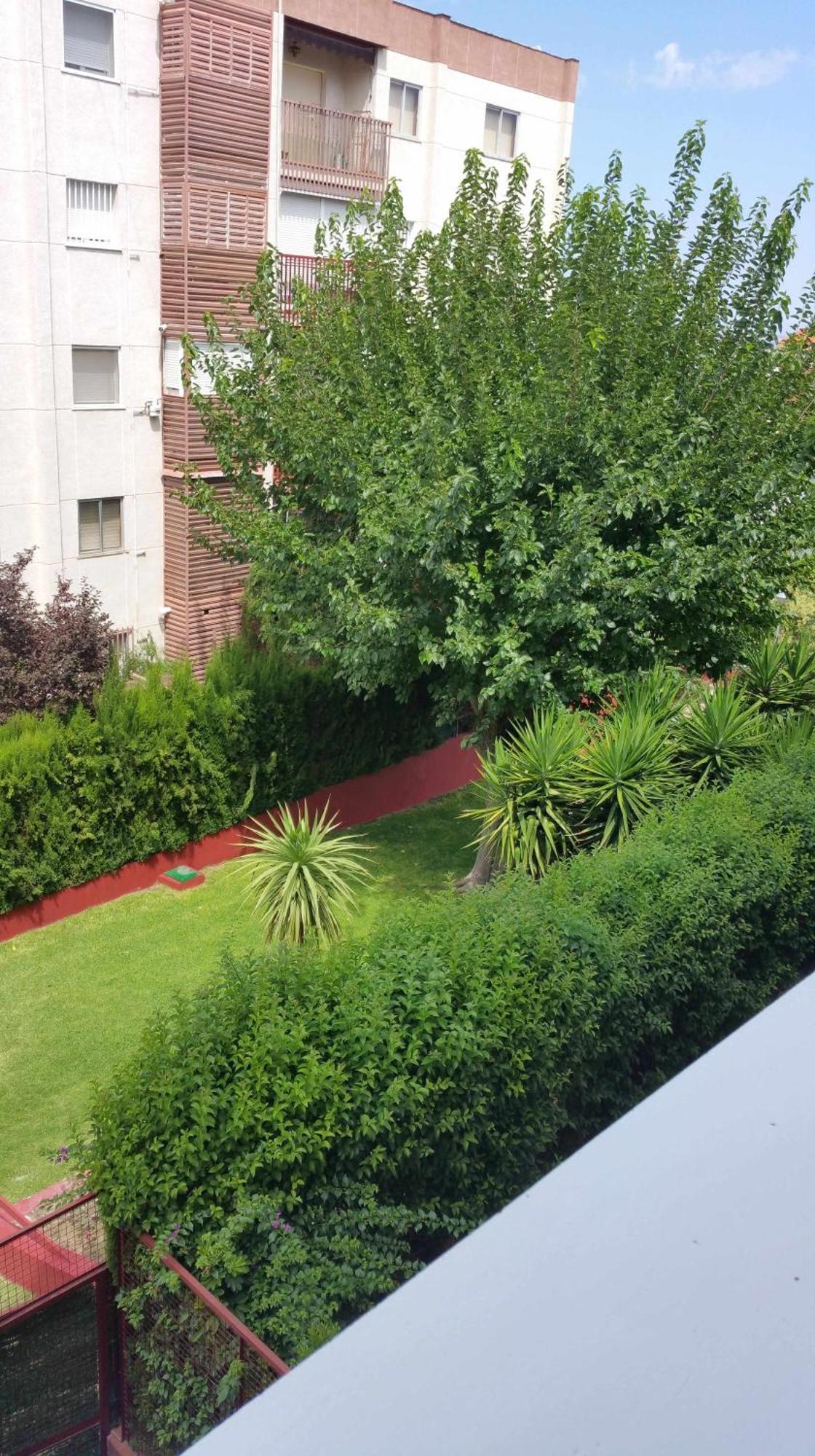 Sauces Parking Gratis Climatizado Appartement Jaén Buitenkant foto